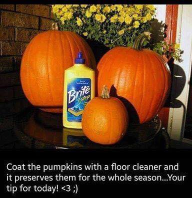 pumpkin-floor-cleaner